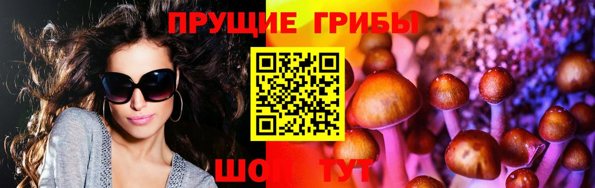 Галлюциногенные грибы прущие грибы Краснодар