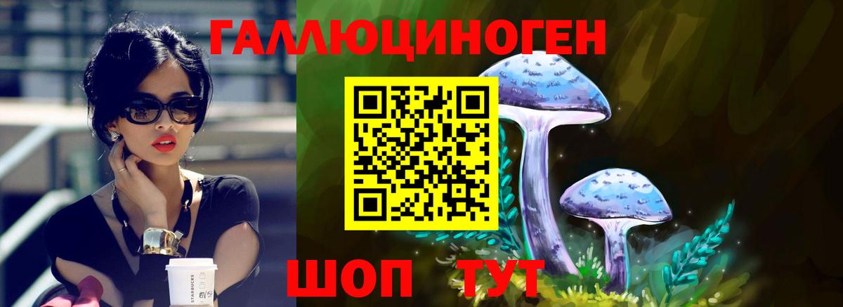 Краснодар  Галлюциногенные грибы GOLDEN TEACHER  Галлюциногенные грибы прущие грибы  Вход с VPN 